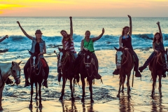 Tours en caballo / horse-back-ride