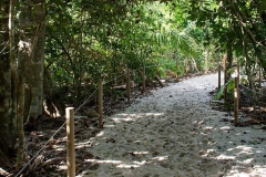 Senderos Manuel Antonio / Manuel-antonio-senderos