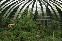 MARIPOSARIO / BUTTERFLY HOUSE