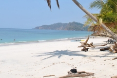 Isla tortuga/  Turtle Island
